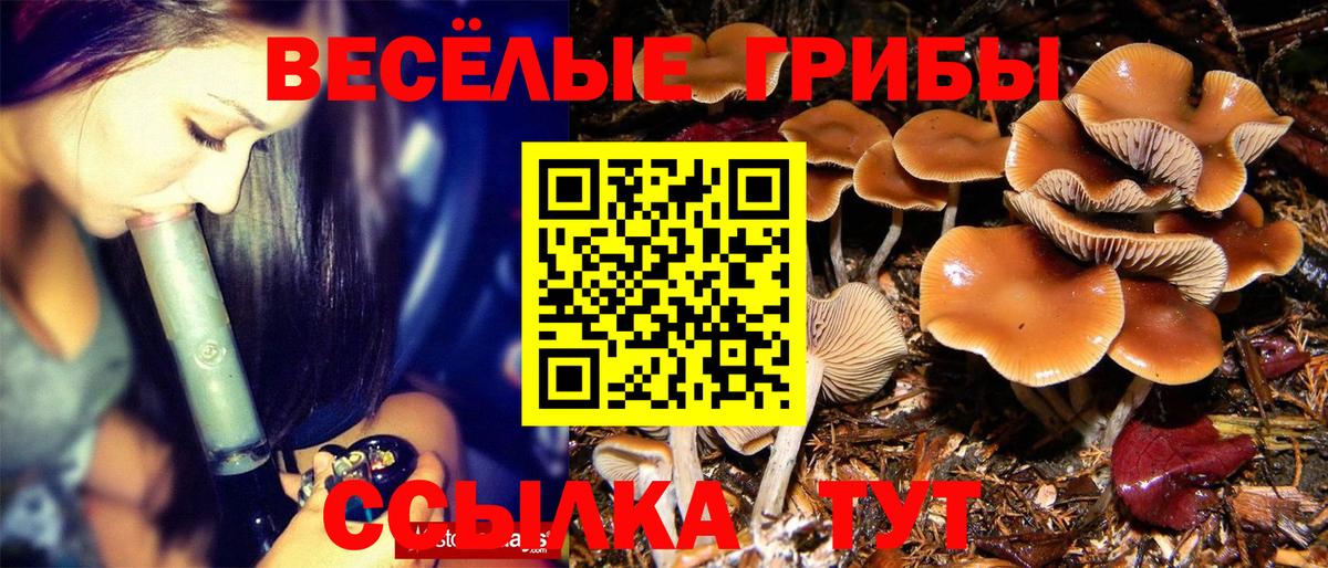 Омск  хочу наркоту  Вход с VPN  Псилоцибиновые грибы ЛСД 